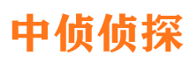 夹江捉小三公司